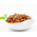 2019 New Crop Fresh Products Cheap Price Pine Nuts Edible Pine Nuts